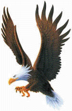 wpeCA.gif (13738 bytes)